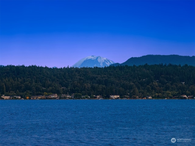 view of water feature featuring a mountain view