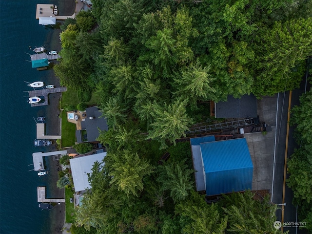 bird's eye view with a water view