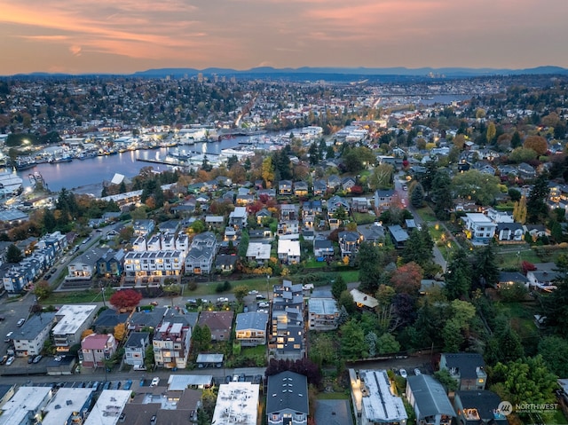 3623 13th Ave W, Seattle, WA 98119 - photo 36