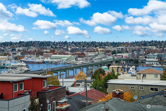 3623 13th Ave W, Seattle, WA 98119 - photo 31