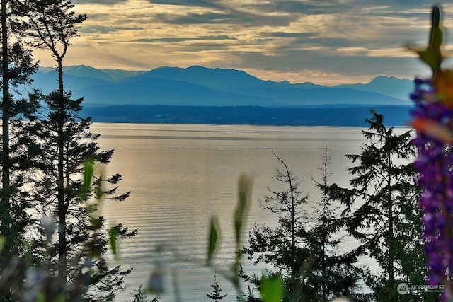 property view of mountains with a water view