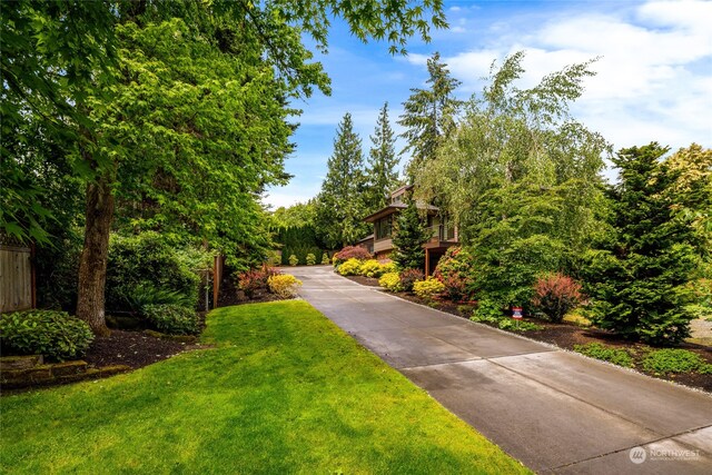 view of property's community featuring a lawn