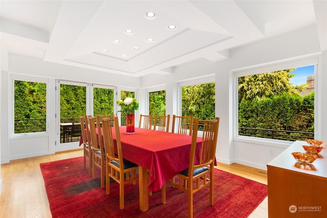 sunroom / solarium with a raised ceiling