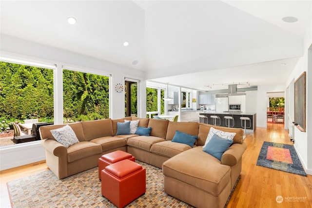 living room featuring light wood-type flooring and vaulted ceiling