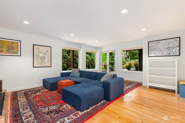 living room with plenty of natural light and hardwood / wood-style flooring