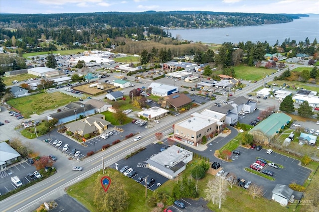 5591 Harbor Ave, Freeland, WA 98249 - photo 3