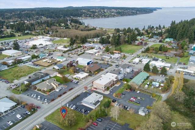 5591 Harbor Ave, Freeland, WA 98249 - photo 4