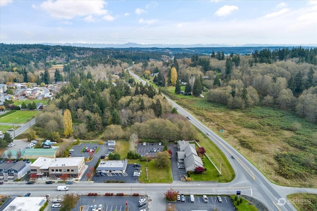 5591 Harbor Ave, Freeland, WA 98249 - photo 8