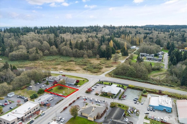 5591 Harbor Ave, Freeland, WA 98249 - photo 9
