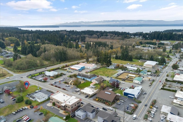5591 Harbor Ave, Freeland, WA 98249 - photo 10