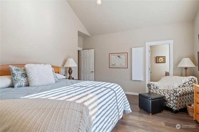 146 Zephyr Dr, Silverlake, WA 98645 - bedroom featuring wood finished floors and high vaulted ceiling