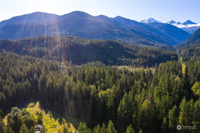 property view of mountains