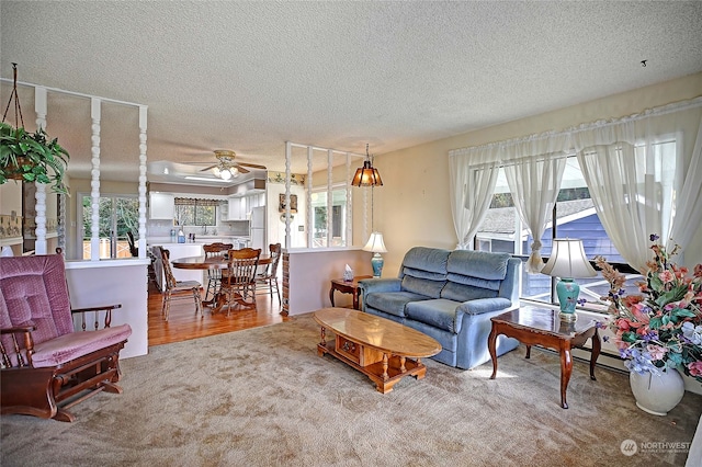 living room featuring hardwood / wood-style floors, ceiling fan, and a textured ceiling