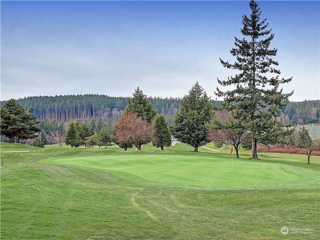 view of property's community with a lawn