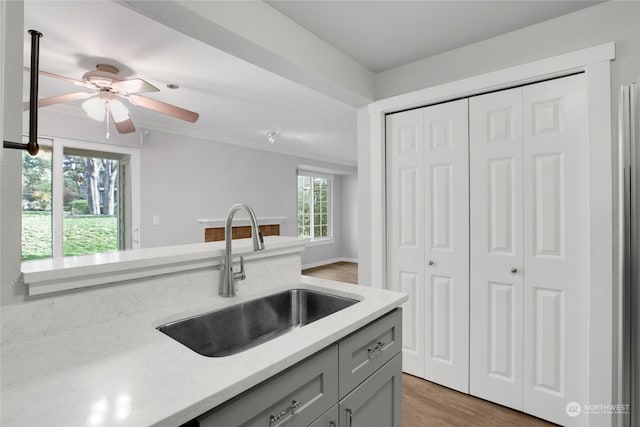 kitchen featuring gray cabinetry, ceiling fan, sink, light stone counters, and light hardwood / wood-style flooring