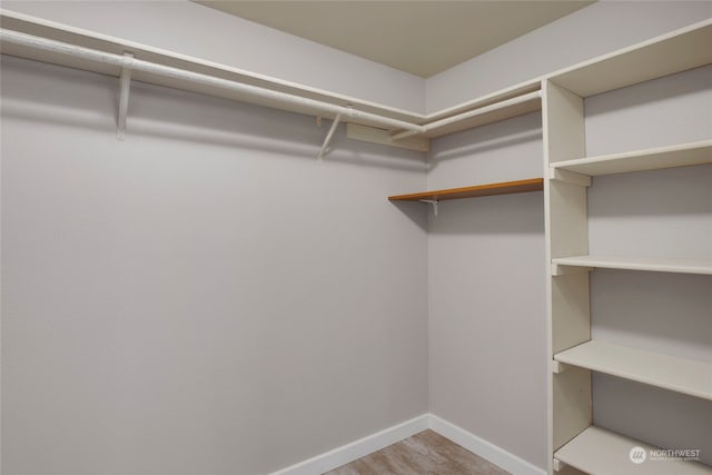 spacious closet with wood-type flooring