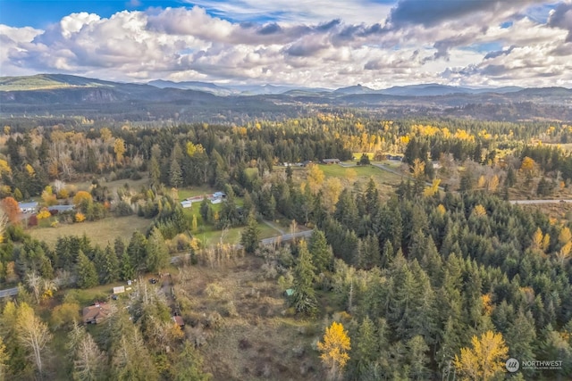 10117 398th St E, Eatonville, WA 98328