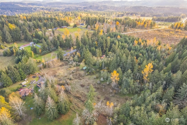 10117 398th St E, Eatonville, WA 98328
