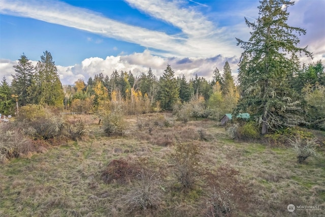 10117 398th St E, Eatonville, WA 98328