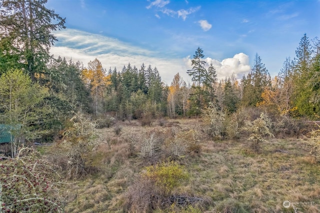 10117 398th St E, Eatonville, WA 98328