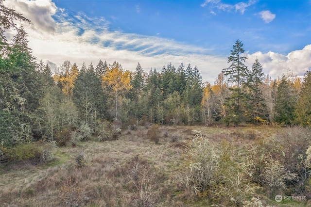 10117 398th St E, Eatonville, WA 98328