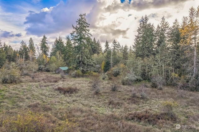 10117 398th St E, Eatonville, WA 98328