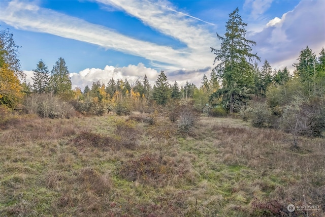 10117 398th St E, Eatonville WA, 98328 land for sale