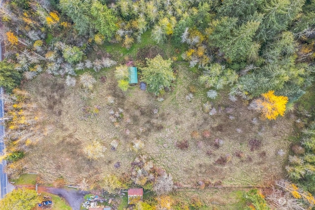 10117 398th St E, Eatonville, WA 98328