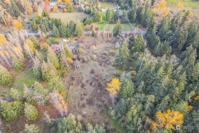10117 398th St E, Eatonville, WA 98328