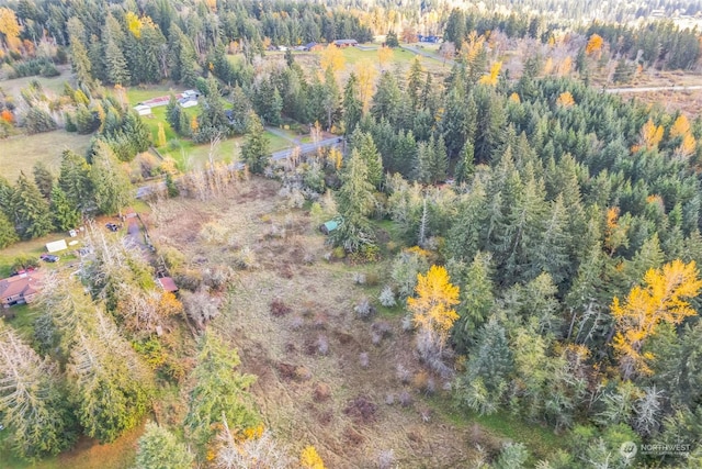 10117 398th St E, Eatonville, WA 98328