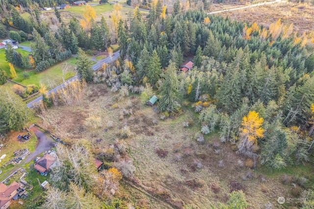 10117 398th St E, Eatonville, WA 98328