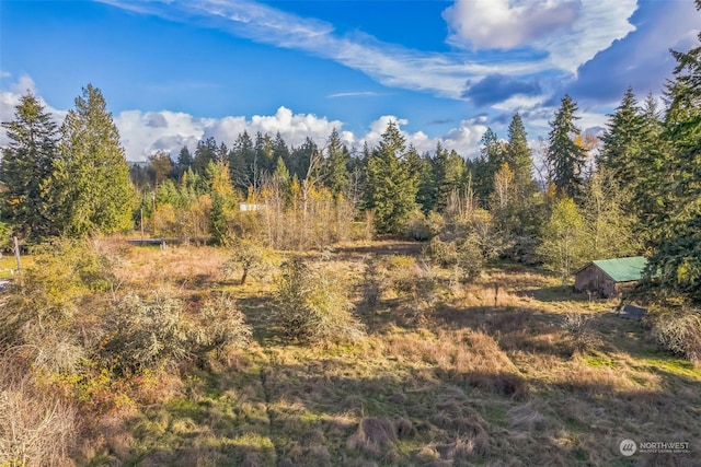 10117 398th St E, Eatonville, WA 98328