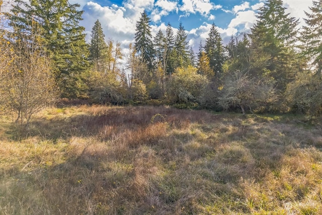 10117 398th St E, Eatonville, WA 98328
