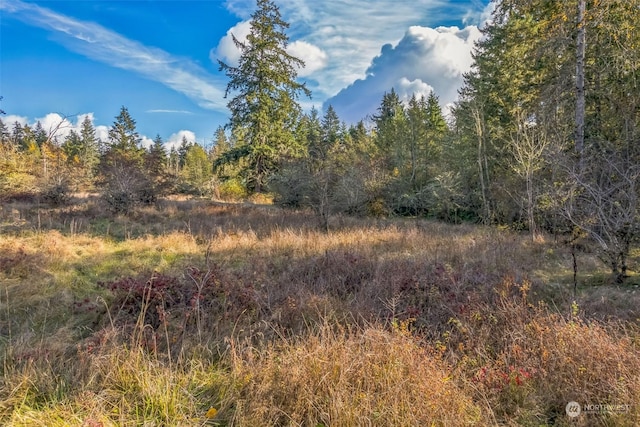 10117 398th St E, Eatonville, WA 98328