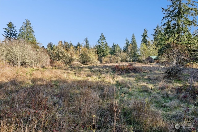 10117 398th St E, Eatonville, WA 98328