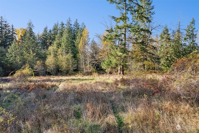 10117 398th St E, Eatonville, WA 98328