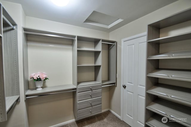 spacious closet featuring dark carpet