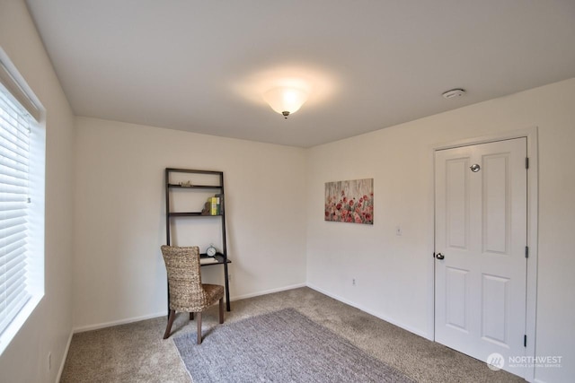 living area with carpet flooring