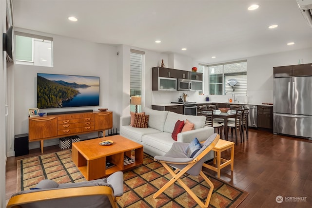 living room featuring dark wood-type flooring and sink