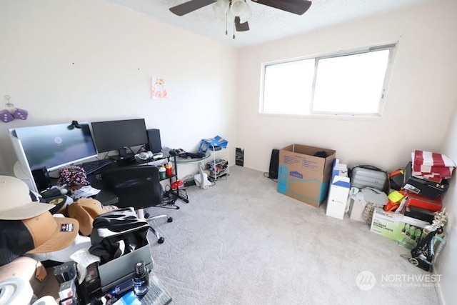 view of carpeted office