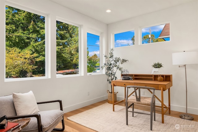 home office with a healthy amount of sunlight and light wood-type flooring