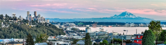 view of city featuring a water view