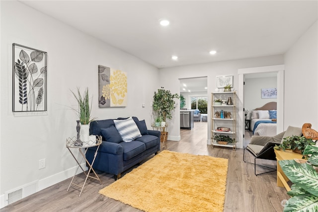 living room featuring wood-type flooring