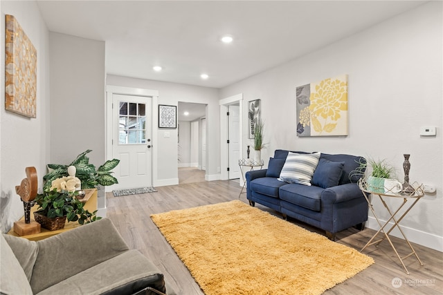 living room featuring wood-type flooring