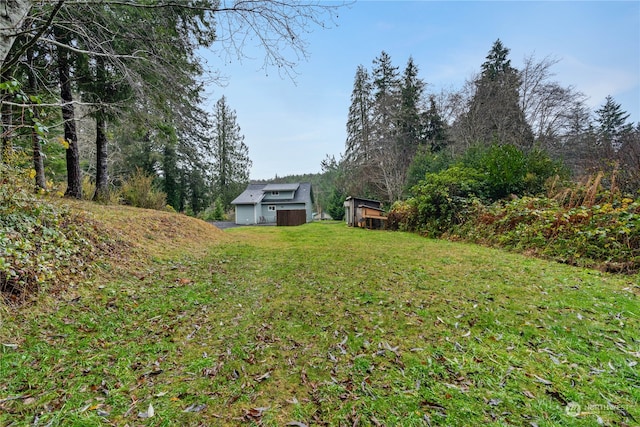 view of yard with an outdoor structure