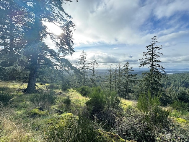 02 NW Rustic Homestead Ln, Orcas Island, WA 98280