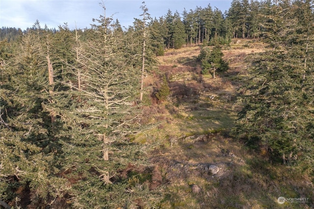02 NW Rustic Homestead Ln, Orcas Island, WA 98280