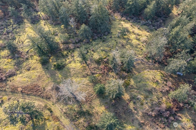 02 NW Rustic Homestead Ln, Orcas Island, WA 98280