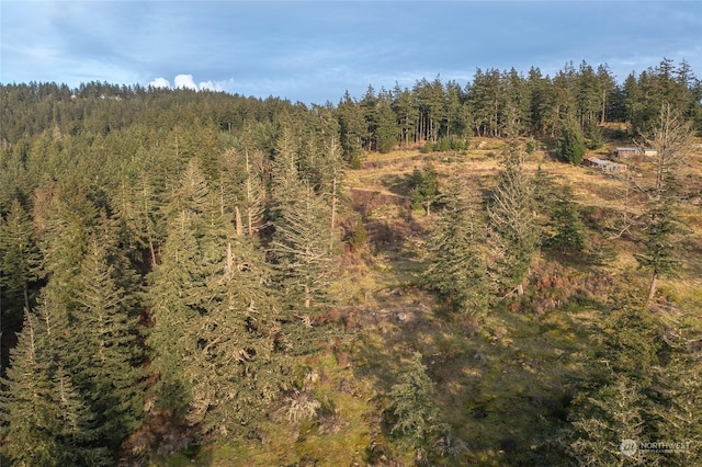 02 NW Rustic Homestead Ln, Orcas Island, WA 98280