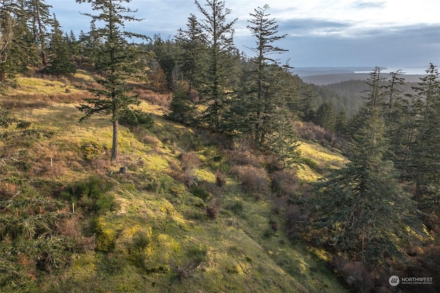 02 NW Rustic Homestead Ln, Orcas Island, WA 98280